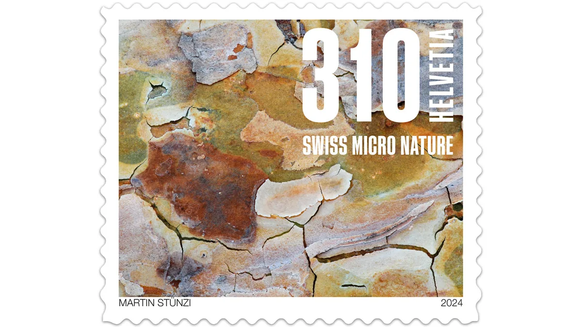 Baumrinde: Platane in Niederuster. Briefmarken Naturmuster 2024
